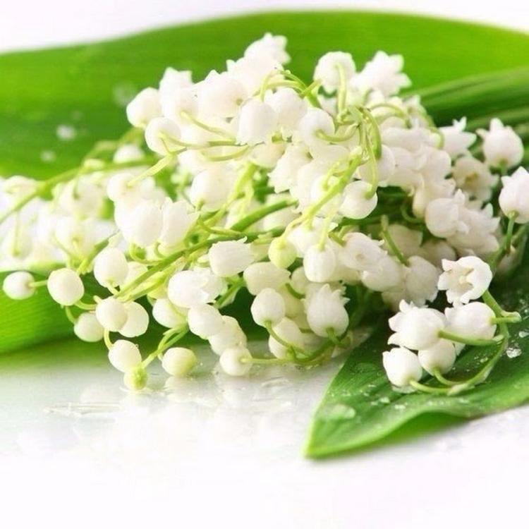 Сердечко из ландышей