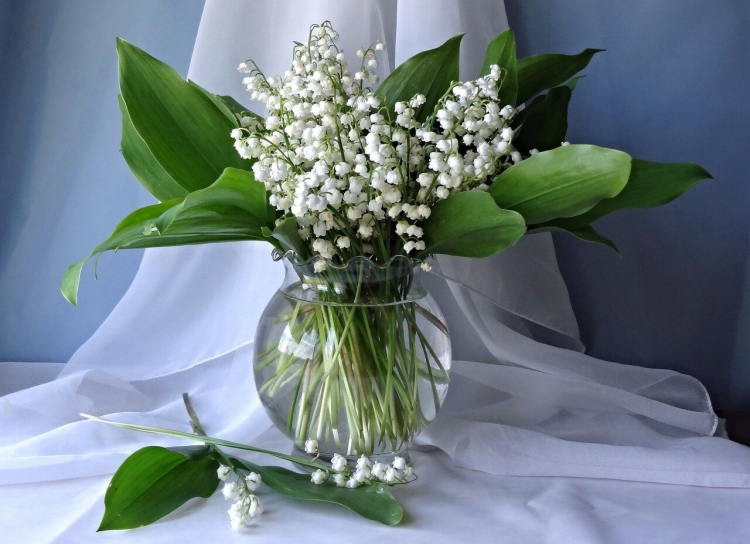 Ландыши Эстетика