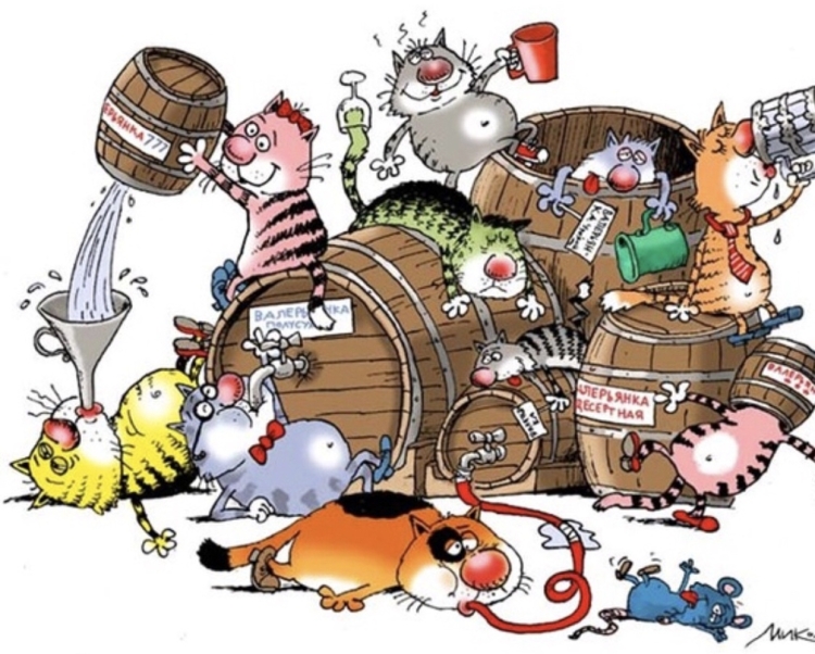 Карикатуры о дне рождения