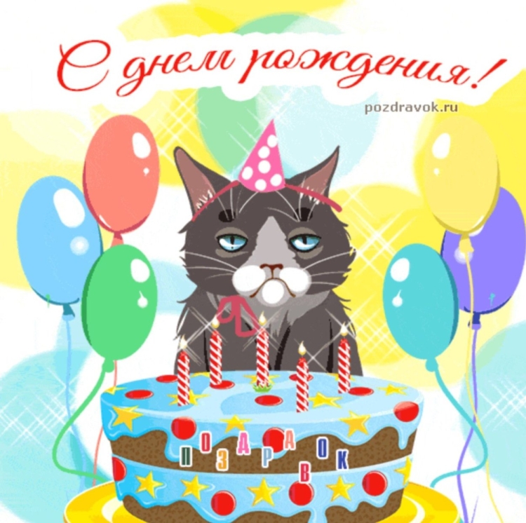 С днем рождения кот