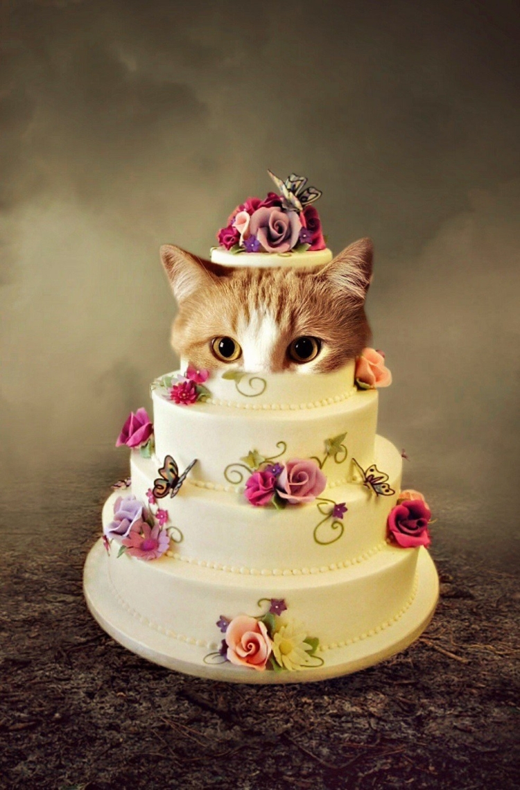 Тортик с кошечкой