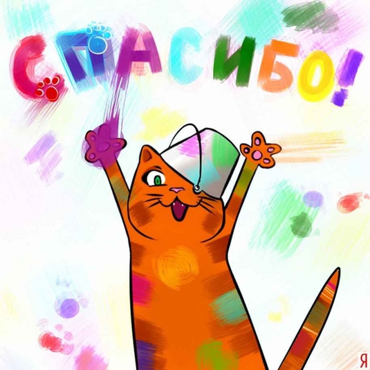 Спасибо кот