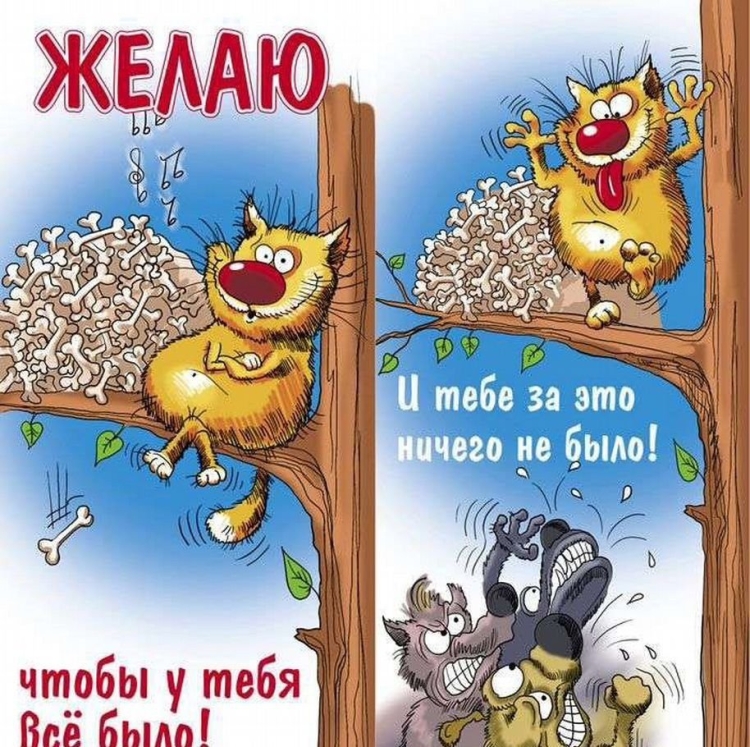 Поздравления с днём рождения мимишные