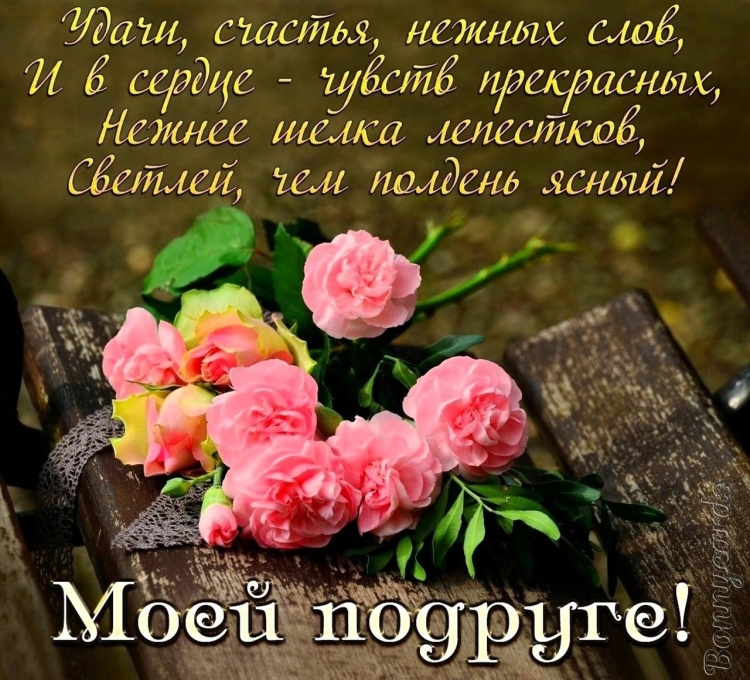 Открытки на сегодня