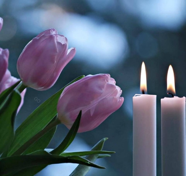Свеча тюльпан