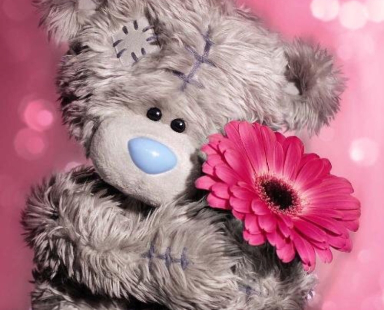 С днем рождения мишка