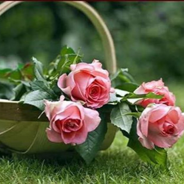 Здоровья и Божьего благословения