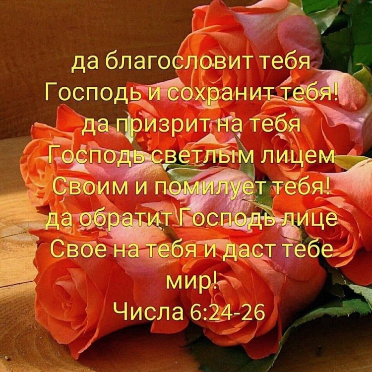 Да благословит тебя Господь и сохранит