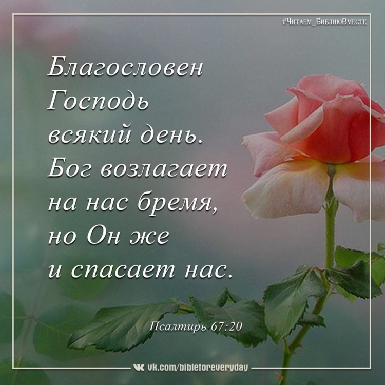 Пожелания Божией милости