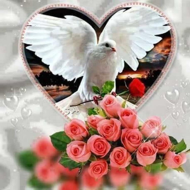 Голуби в цветах