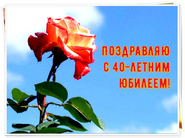 Поздравления с днём рождения зятю от тёщи