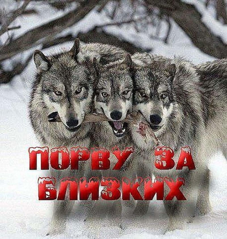 Доброе утро Волчара