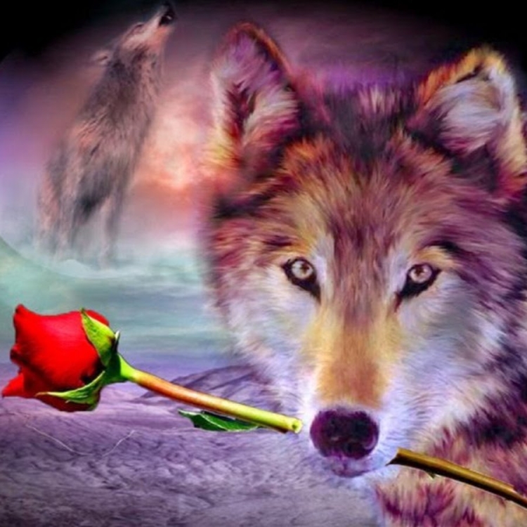 Философия волка