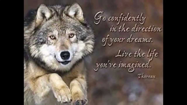 Волк поздравление