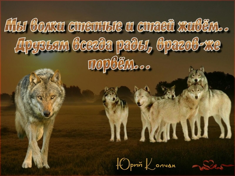 Красивая надпись волк