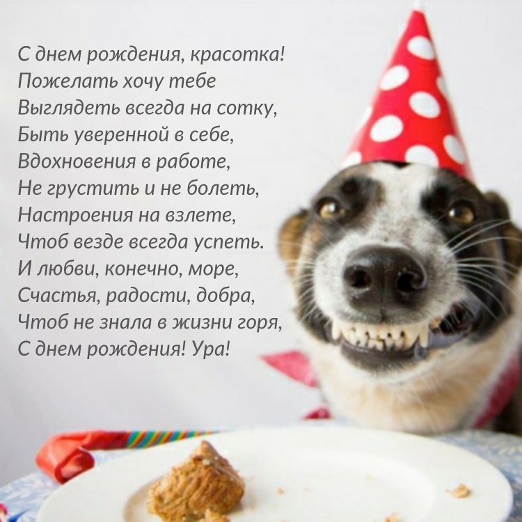 Прикольные фото на др