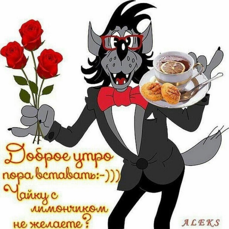 Доброе утро Зайка