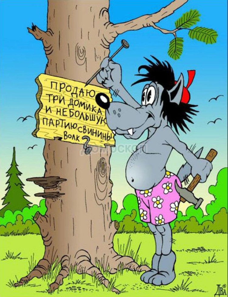 Юмористическая карикатура