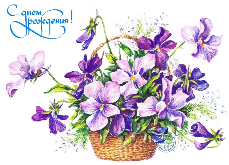 С днем рождения фиалки