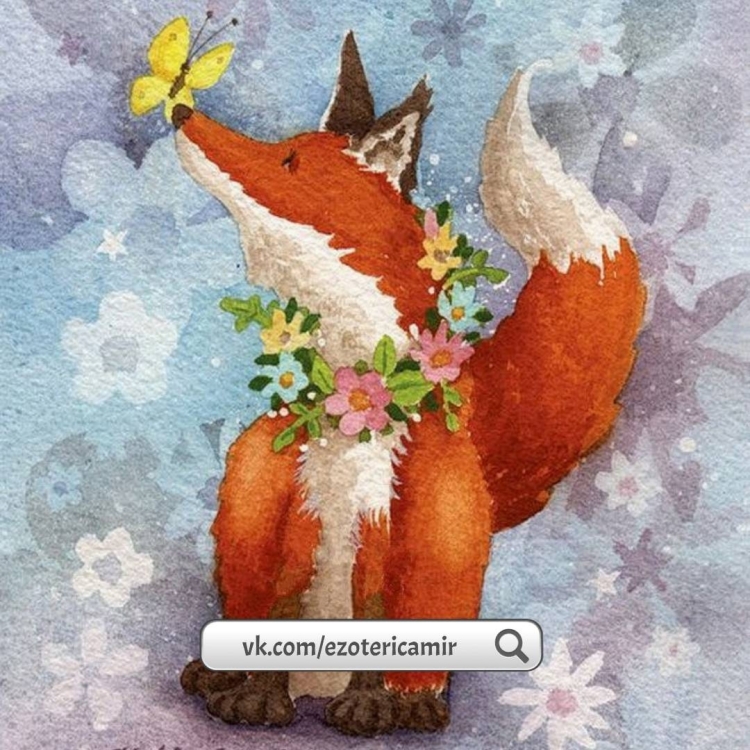 Katja Saario лисы