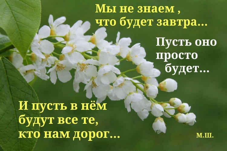 Открытки с добрыми словами