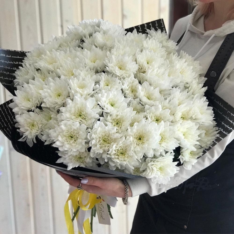 Хризантема Арктик Квин