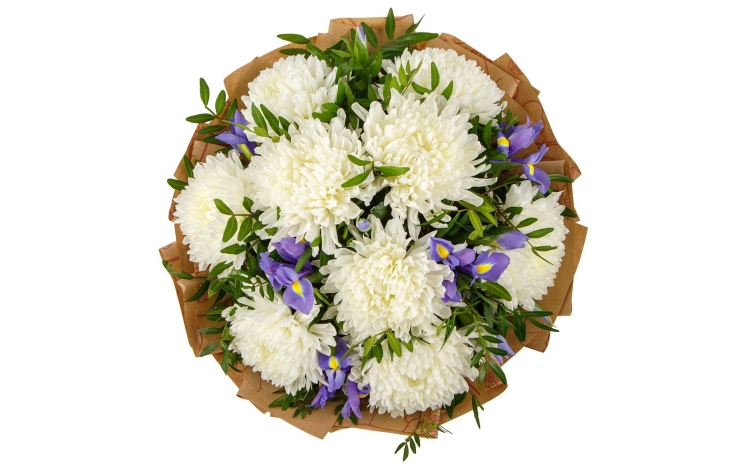 Букет из синих и белых хризантем