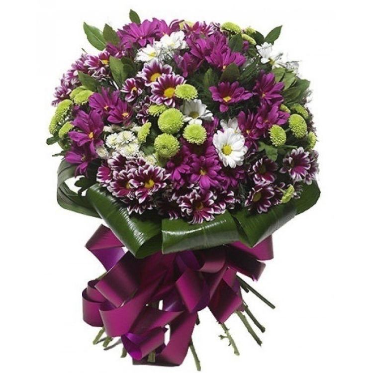 Фиолетовые хризантемы букет