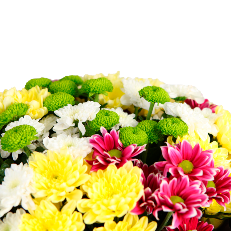 Хризантемы в магазине