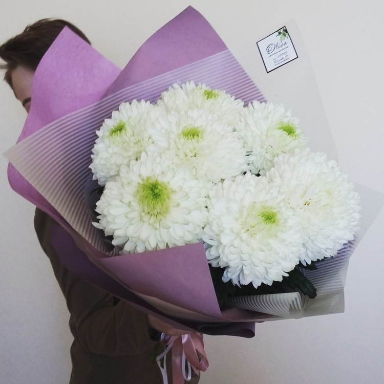 Хризантемы одноголовые Монобукет Антонов