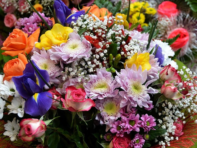 Хризантемы лилии розы ирисы+фрезии