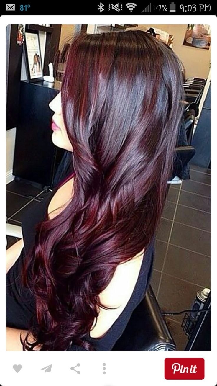 Темно баклажановый цвет волос