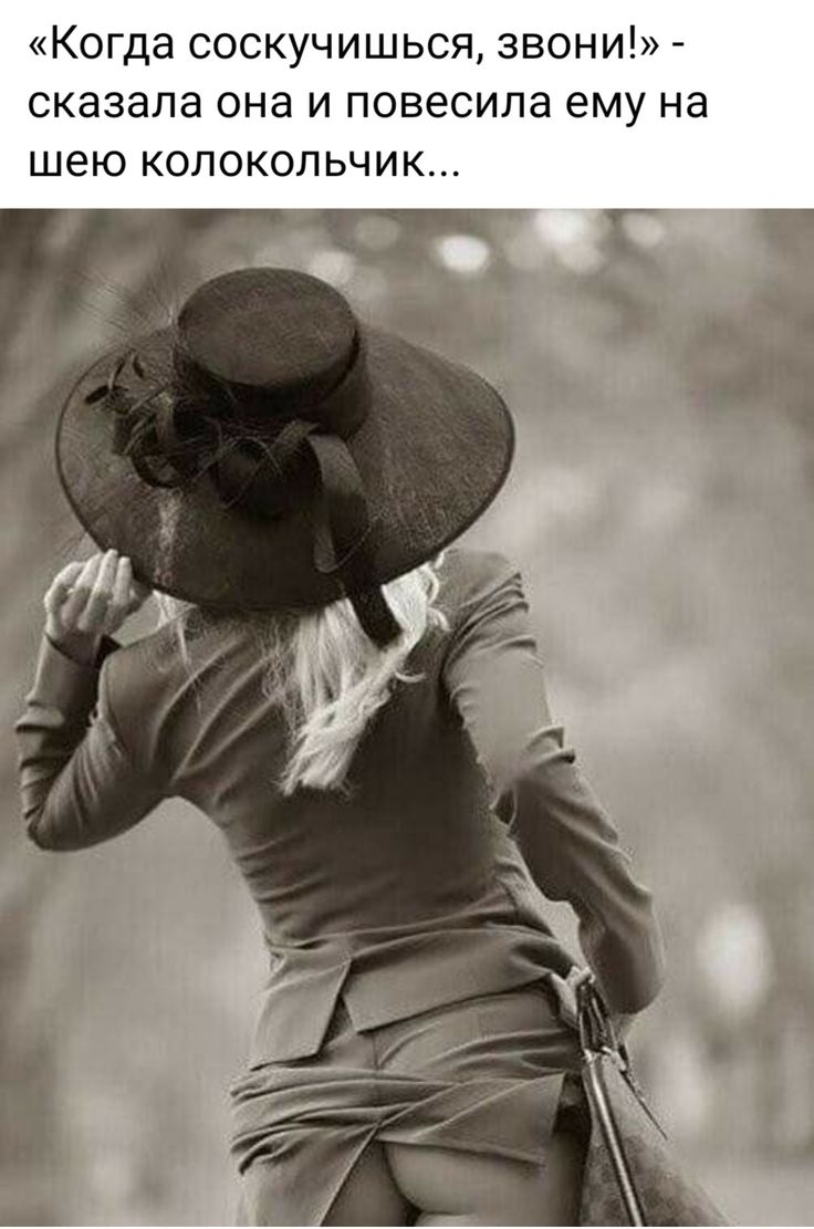 Смешные цитаты про женщин со смыслом