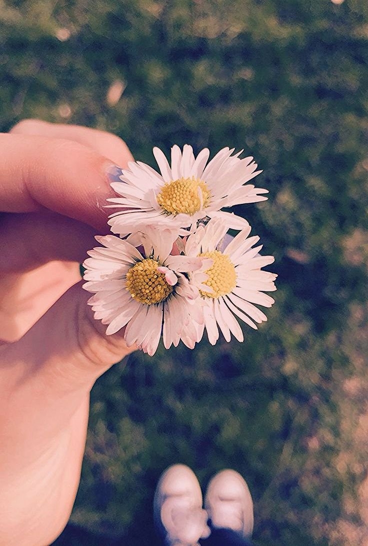 Девушка с ромашками Эстетика