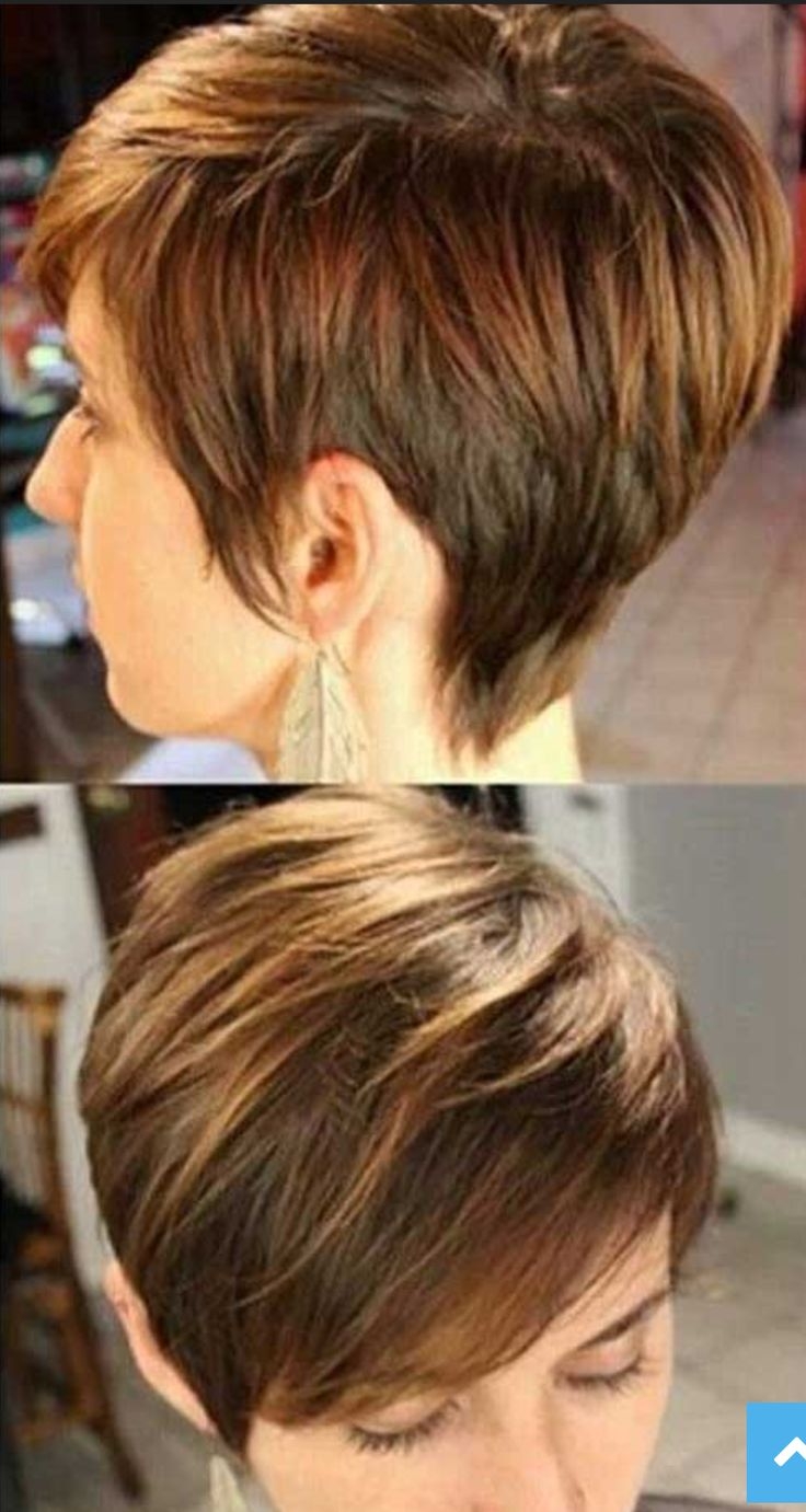 Стрижка Пикси Боб с колорированием