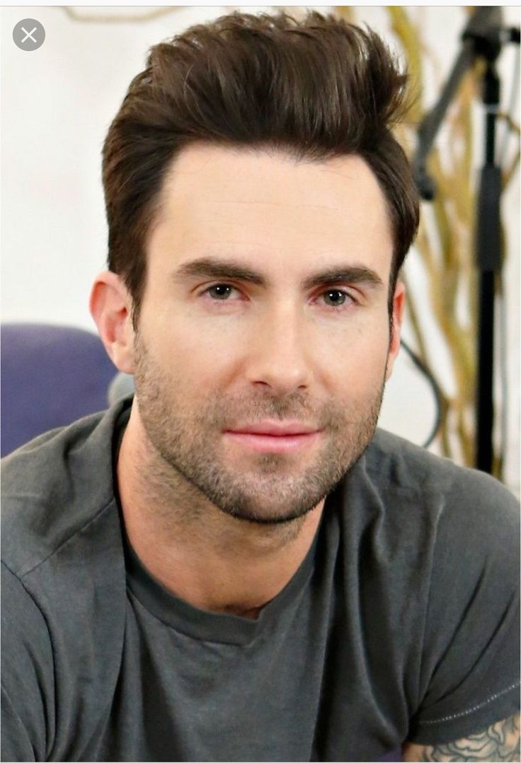 Адам Левин прическа