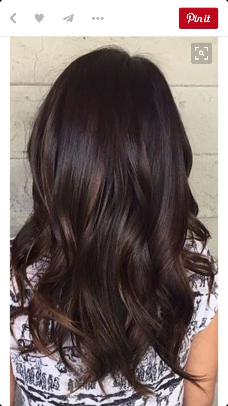 Черно каштановый цвет волос