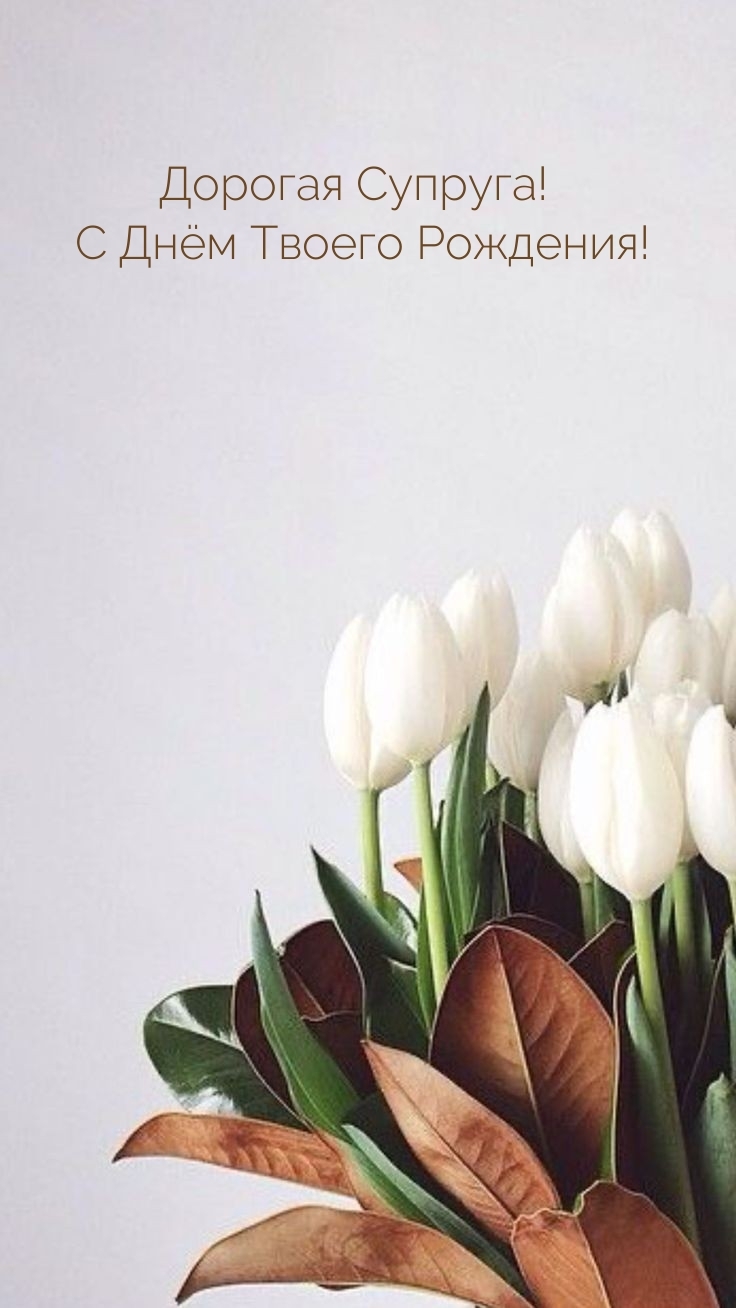 Тюльпаны Минимализм