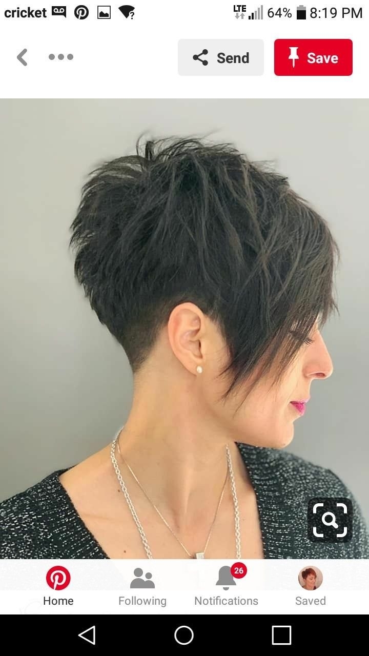 Пикси-Боб асимметрия стрижка затылок