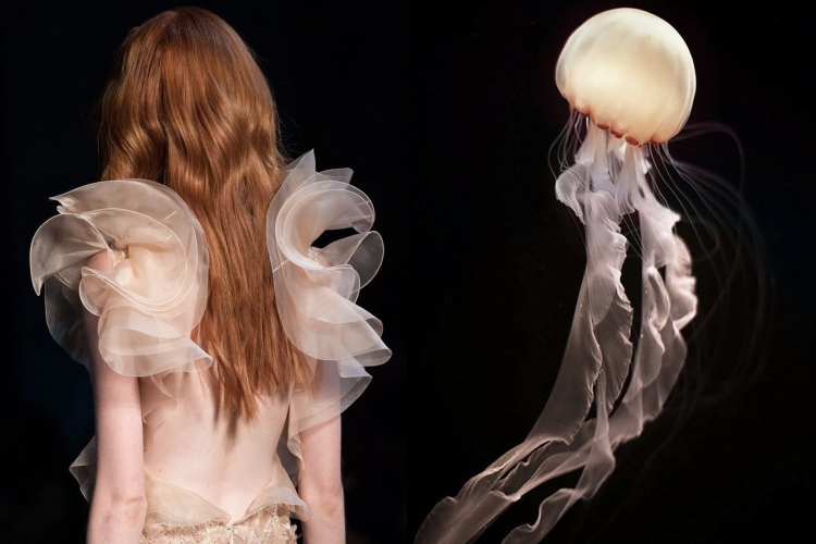 Вдохновение для дизайнера одежды