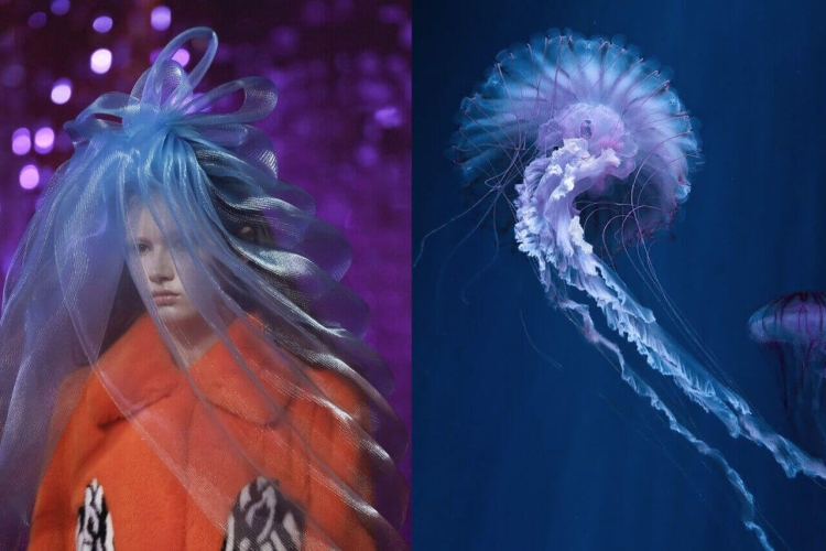 Прическа медуза