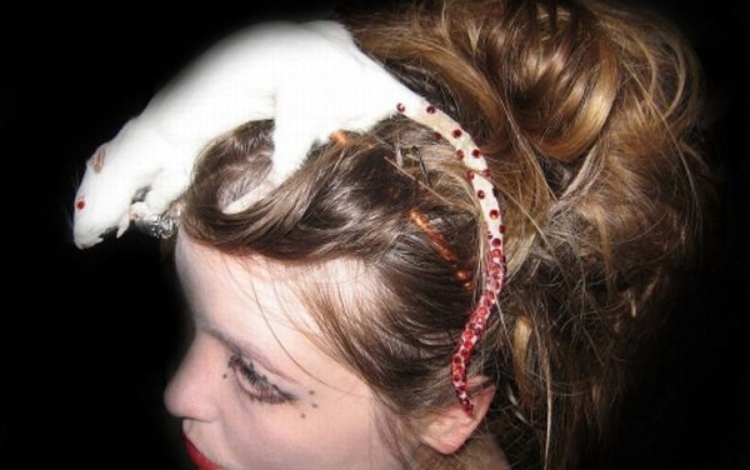 Прически в которых заводились мыши