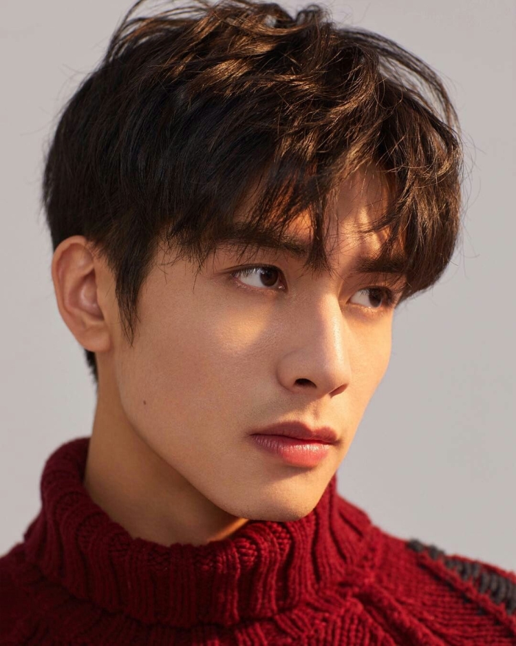 Сун Вэй лун (Song Wei long)