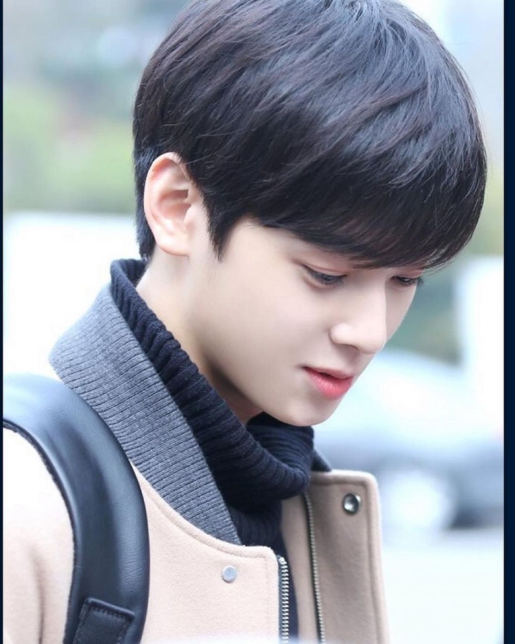 Cha Eun Woo Hairstyle
