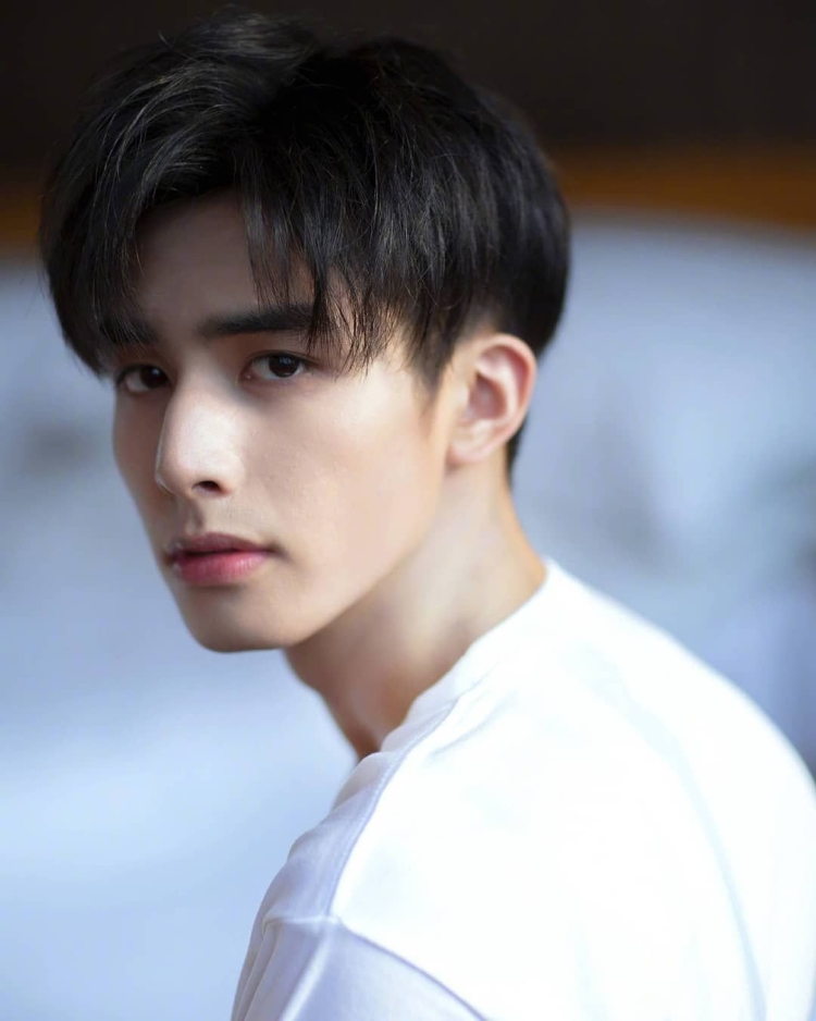 Жаньлун Вэй актер