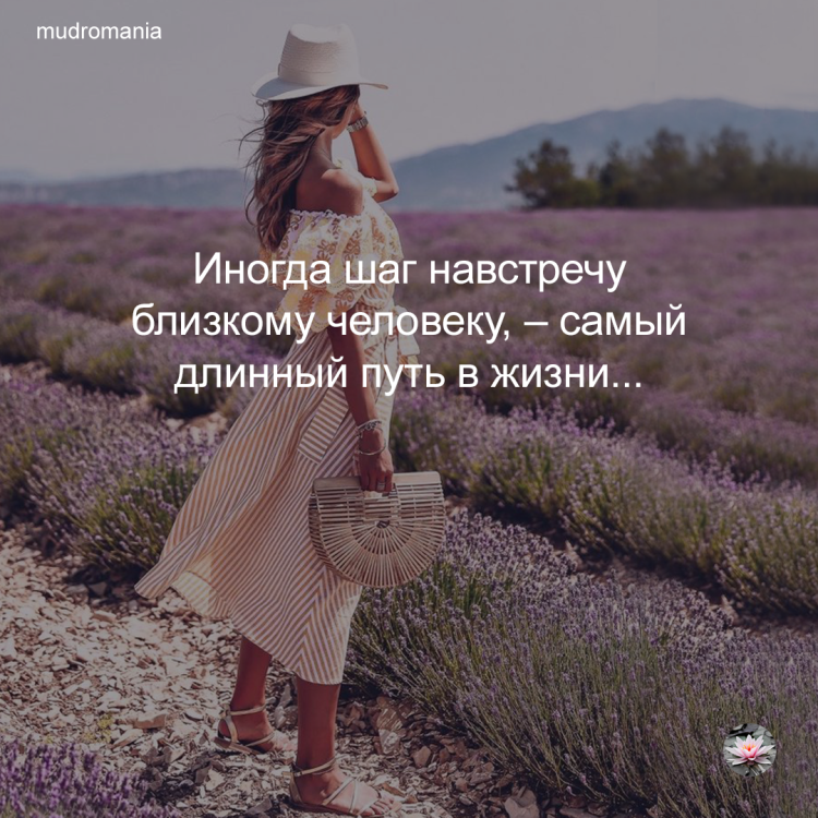 Цитаты про лаванду