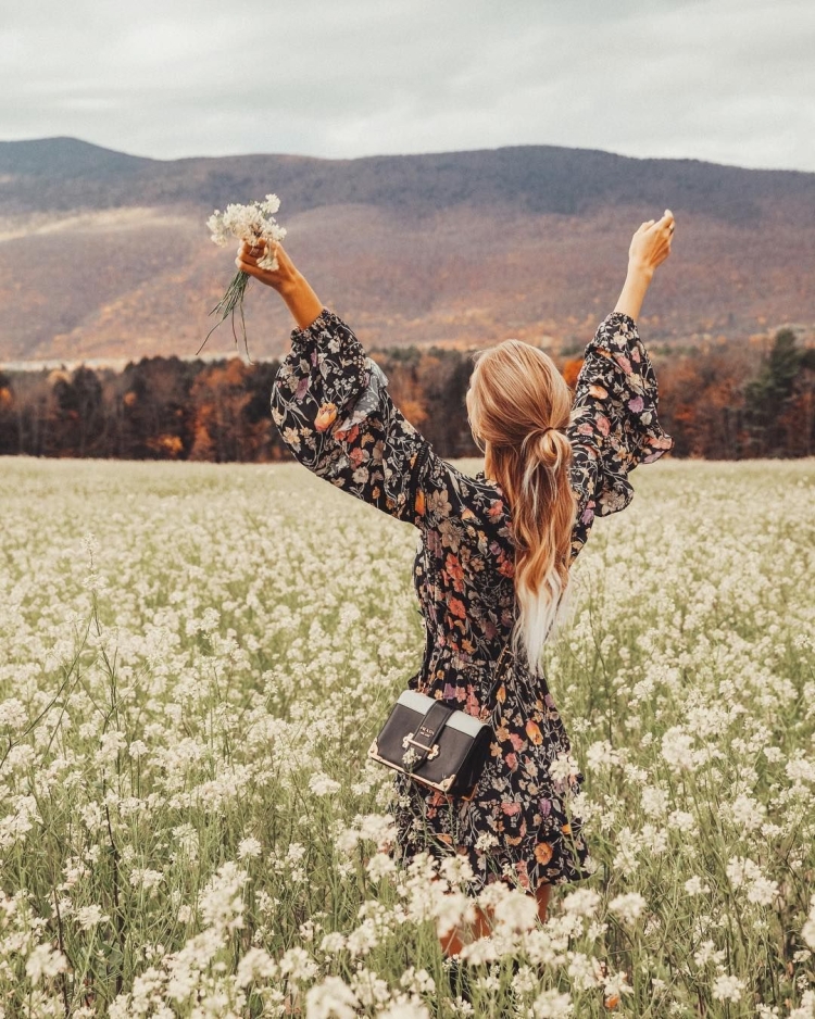 «Радость лета»