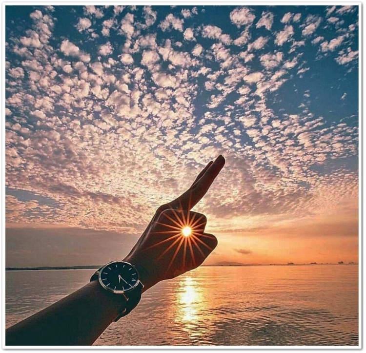 Свобода радость счастье