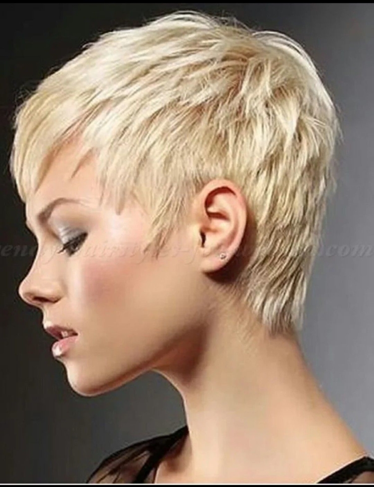 Гарсон Пикси сзади стрижка