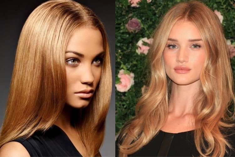 Медовый цвет волос